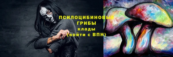 apvp Богородицк