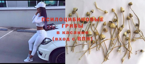 apvp Богородицк