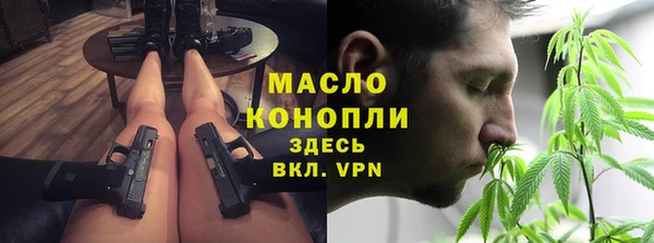 apvp Богородицк
