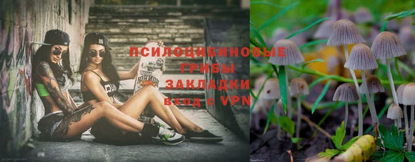 apvp Богородицк