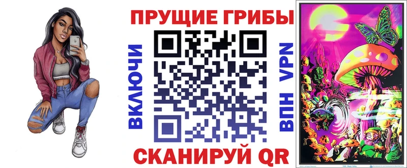 Купить где  Суровикино  Галлюциногенные грибы GOLDEN TEACHER 